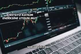 Ahes GYO Katılım Endeksine Uygun mu?