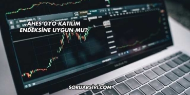 Ahes GYO Katılım Endeksine Uygun mu?