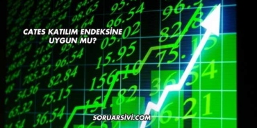 Cates Katılım Endeksine Uygun mu