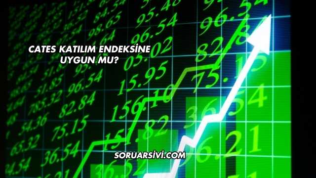 Cates Katılım Endeksine Uygun mu