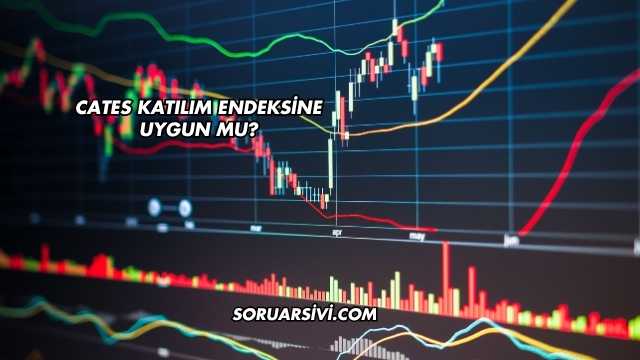 Cates Katılım Endeksine Uygun mu