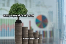 Çekya Asgari Ücret 2025