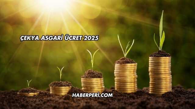 Çekya Asgari Ücret 2025