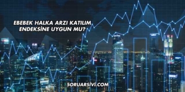 Ebebek Halka Arzı Katılım Endeksine Uygun mu?