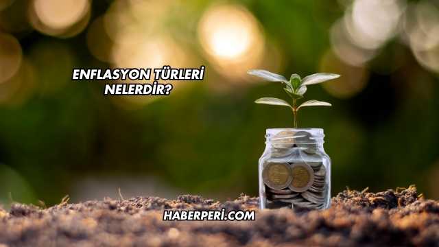 Enflasyon Türleri Nelerdir?
