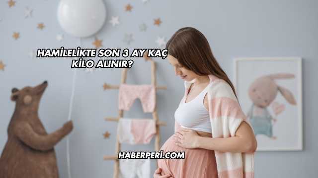 Hamilelikte Son 3 Ay Kaç Kilo Alınır?