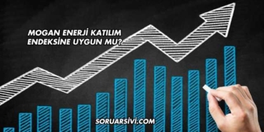 Mogan Enerji Katılım Endeksine Uygun mu?