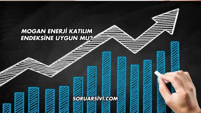 Mogan Enerji Katılım Endeksine Uygun mu?