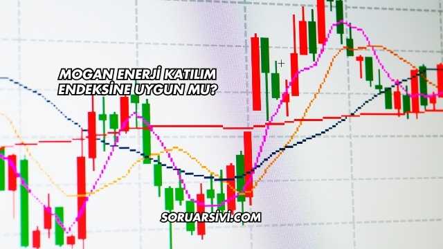 Mogan Enerji Katılım Endeksine Uygun mu?