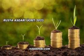 Rusya Asgari Ücret 2025