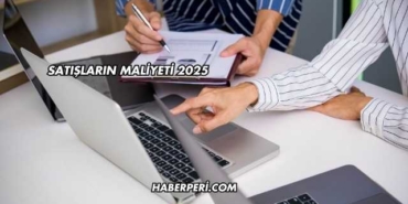 Satışların Maliyeti 2025