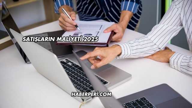 Satışların Maliyeti 2025