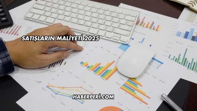 Satışların Maliyeti 2025