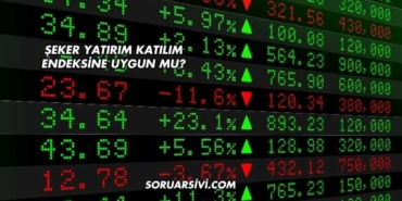 Şeker Yatırım Katılım Endeksine Uygun mu?