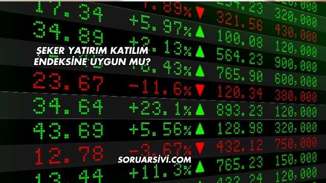 Şeker Yatırım Katılım Endeksine Uygun mu?