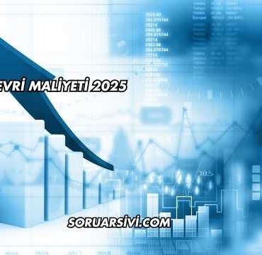 Şirket Devri Maliyeti 2025