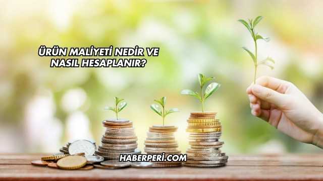 Ürün Maliyeti Nedir ve Nasıl Hesaplanır?