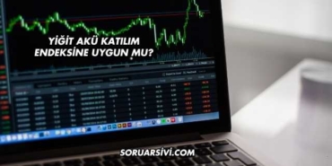 Yiğit Akü Katılım Endeksine Uygun mu?