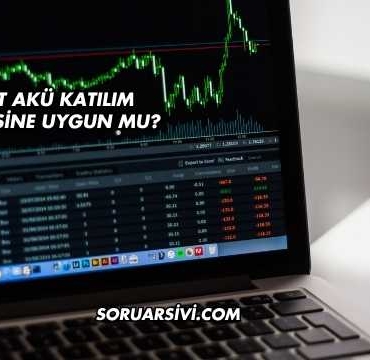 Yiğit Akü Katılım Endeksine Uygun mu?