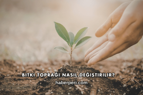 Bitki Toprağı Nasıl Değiştirilir?