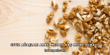 Ceviz Ağaçları Arası Mesafe Kaç Metre Olmalı?