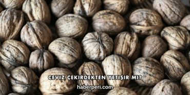 Ceviz Çekirdekten Yetişir mi?