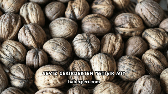 Ceviz Çekirdekten Yetişir mi?