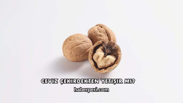 Ceviz Çekirdekten Yetişir mi?