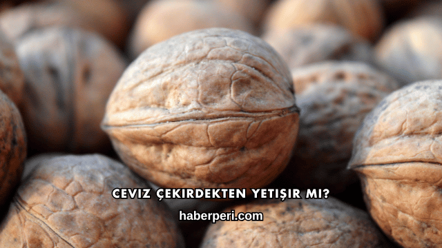 Ceviz Çekirdekten Yetişir mi?