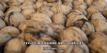 Ceviz Çimlendirme Nasıl Yapılır?
