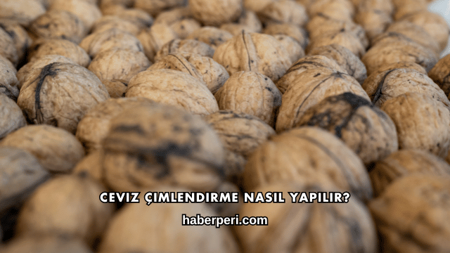 Ceviz Çimlendirme Nasıl Yapılır?