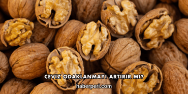 Ceviz Odaklanmayı Artırır mı?