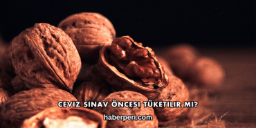 Ceviz Sınav Öncesi Tüketilir mi?