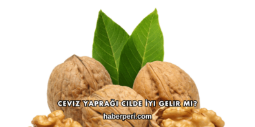 Ceviz Yaprağı Cilde İyi Gelir mi?