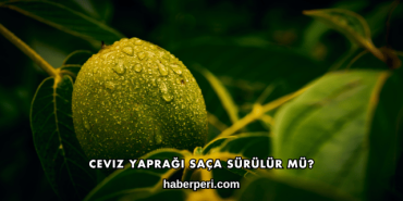 Ceviz Yaprağı Saça Sürülür mü?