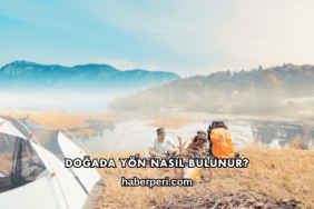 Doğada Yön Nasıl Bulunur?